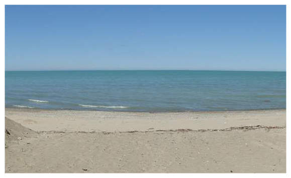 Parks & beaches 