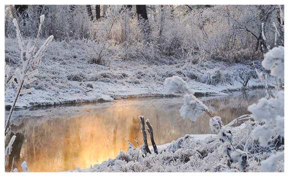 A Winter Wonderland 